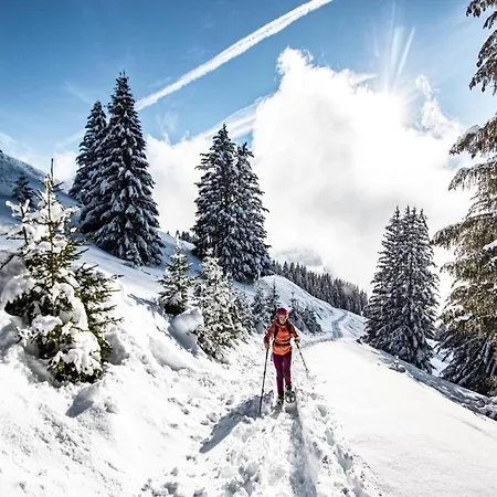 Apartment In For 4 People Châtel